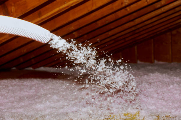 Best Insulation Inspection Services  in Fellsburg, PA